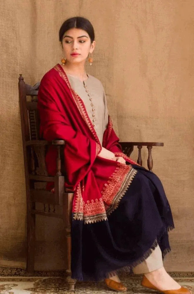 DYOT DHANAK 3PC | EMBROIDERY | D#6576